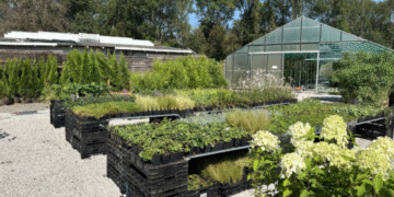 Wie ein Pflanzencenter Ihren Garten in eine grüne Oase verwandeln kann